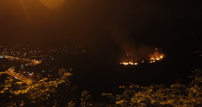 Espiy'de Orman Yangını