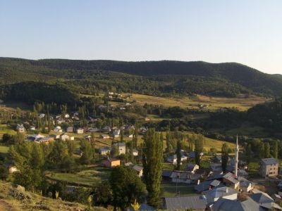 Hayvan otlatma kavgas kanl bitti