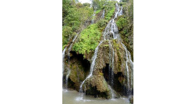 Kuzalan elalesi ve Mavi Gl
