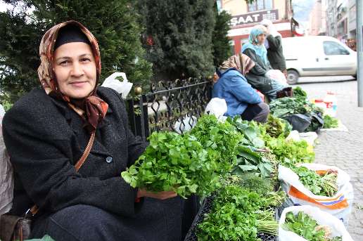 Kadnlar Pazar lgi Gryor