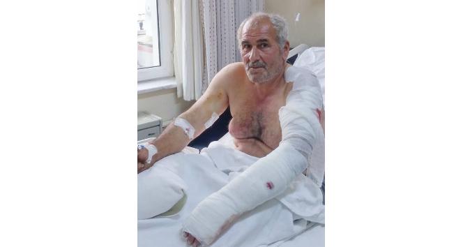 Ay saldrsna urayan vatanda yaral kurtuldu