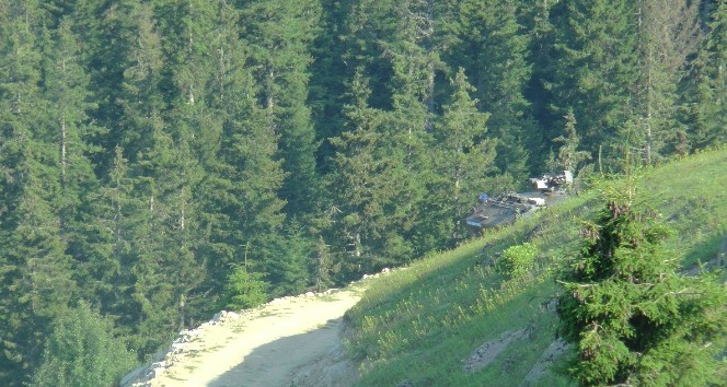 Giresun’da atmann yaand blge ember altna alnd