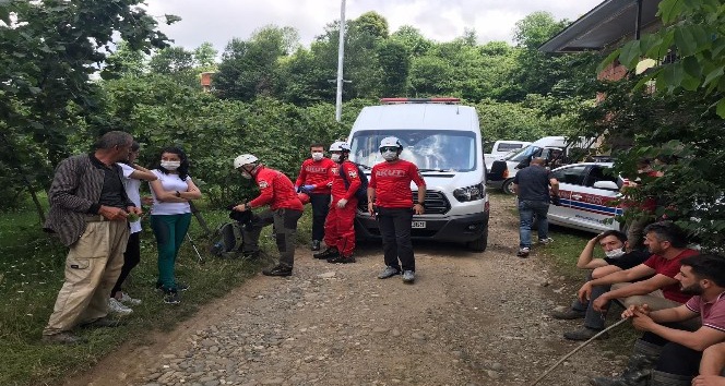 kranur iin seferber oldular
