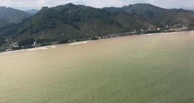 Karadeniz amur denizi Gibi