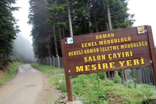 Yaz Ve K Turizmine Ev Sahiplii Yapacak