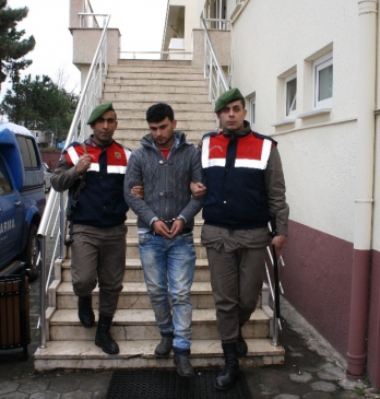 Jandarmadan Hrsza Sust