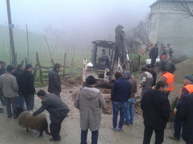 Soukpnar Suya Kavuuyor