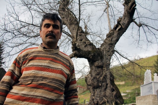 Asrlk Ceviz Aac Zamana Meydan Okuyor