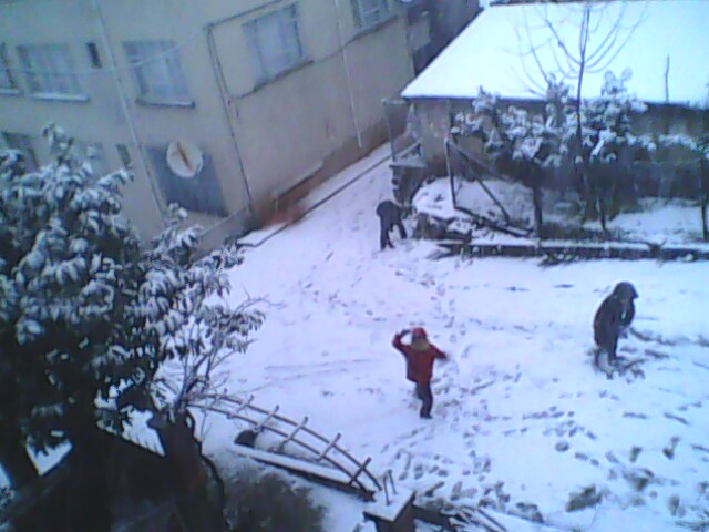 Bulancak Merkez Beyaza Brnd