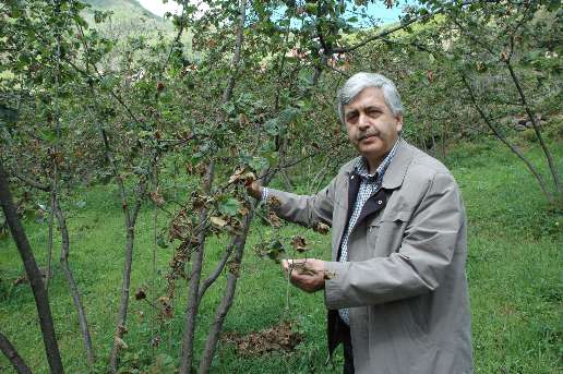 FINDIIN GELECEK 3 YILI ENDE VERC
