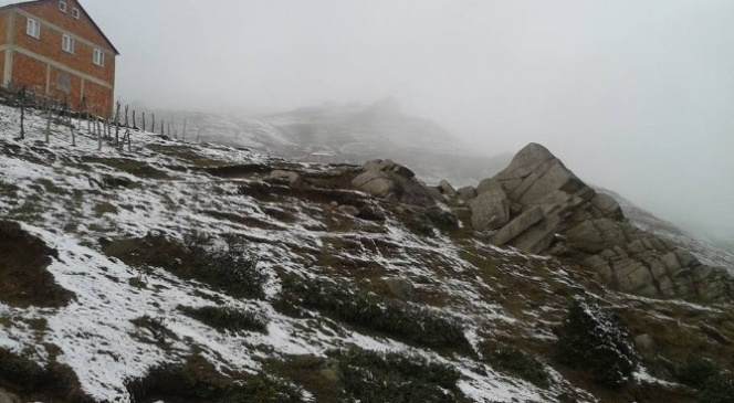 Giresun'da Yaylalar Beyaza Brnd