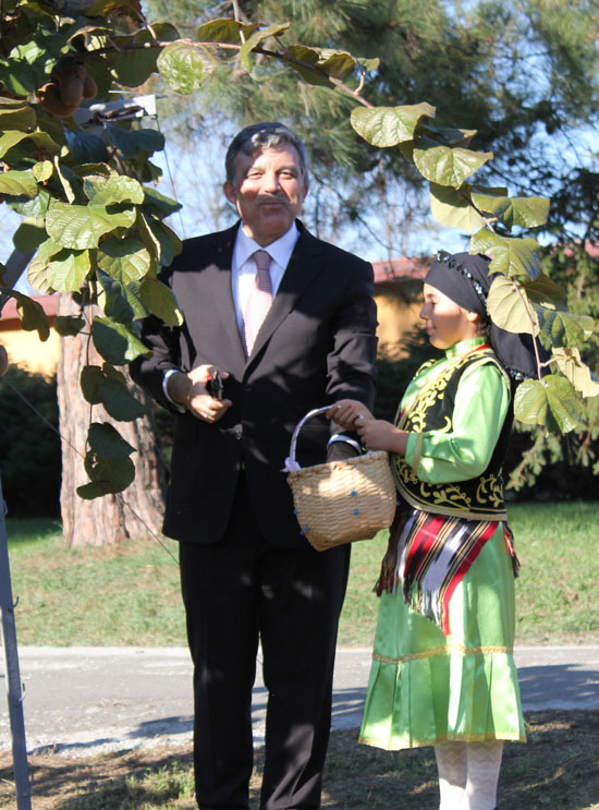 Cumhurbakan Gl Giresun'da Kivi Toplad