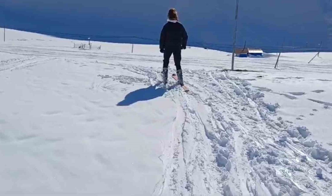 Giresun’u Şebinkarahisar, Alucra ve Çamoluk ilçeleriyle Sivas’a bağlayan 2 bin